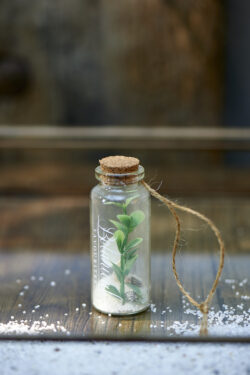 Botanical Favourites Mini Bottle